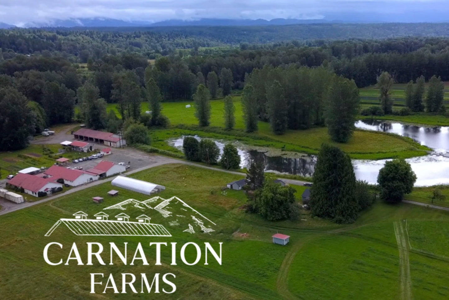 Carnation Farms Tour