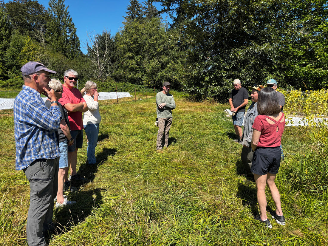 Sammamish Rotary Members Pitch In for Harvest Day at Bumblebee Farm