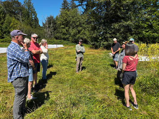 Sammamish Rotary Members Pitch In for Harvest Day at Bumblebee Farm