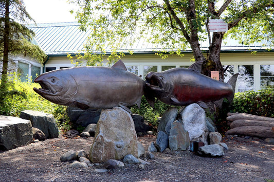 Rotary Meeting & Salmon Hatchery Tour