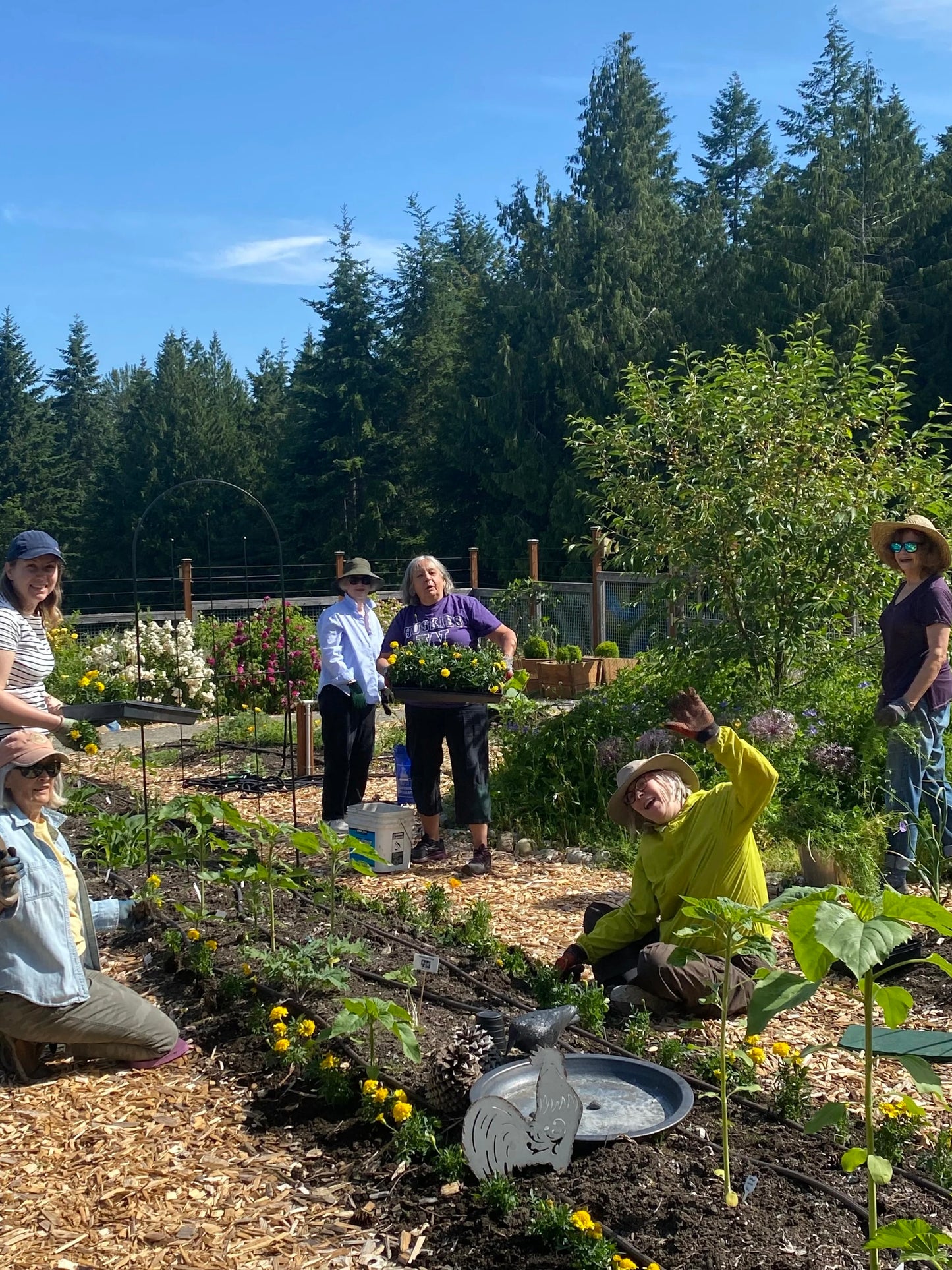 Stewardship Activity