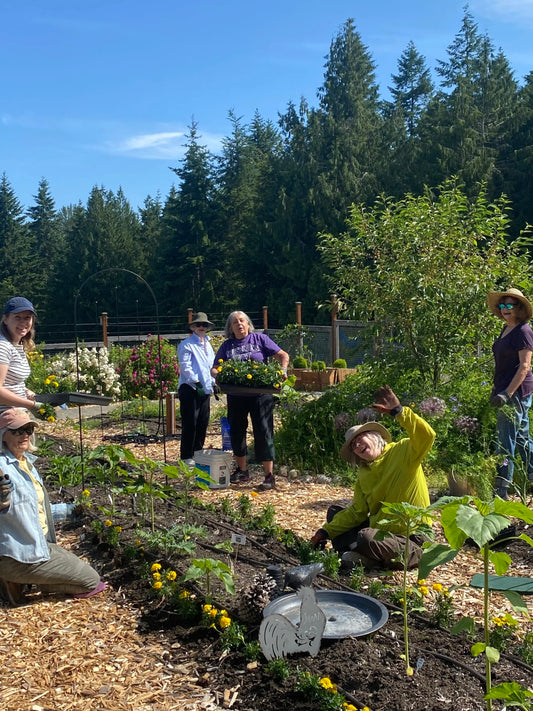 Stewardship Activity